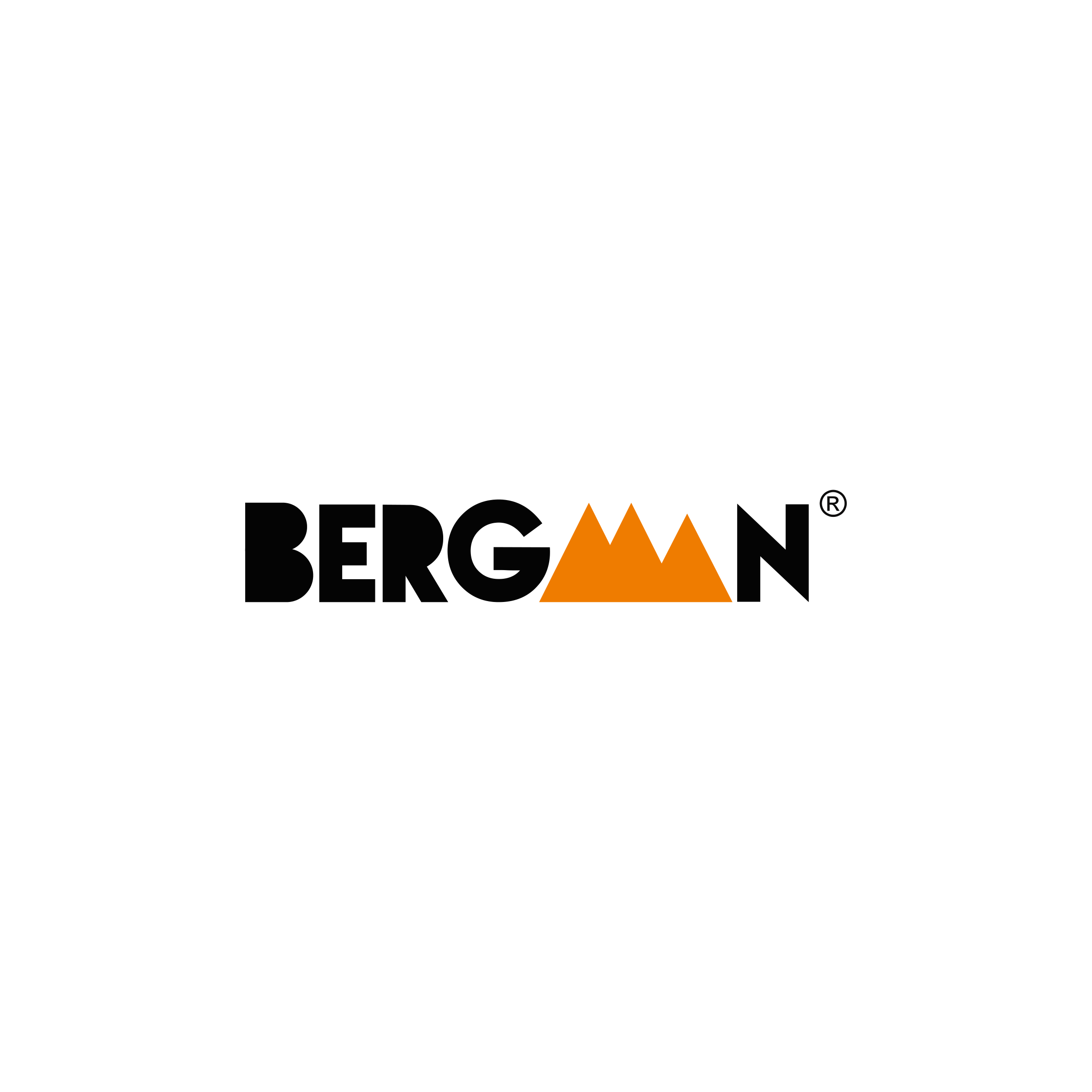 bergman logo