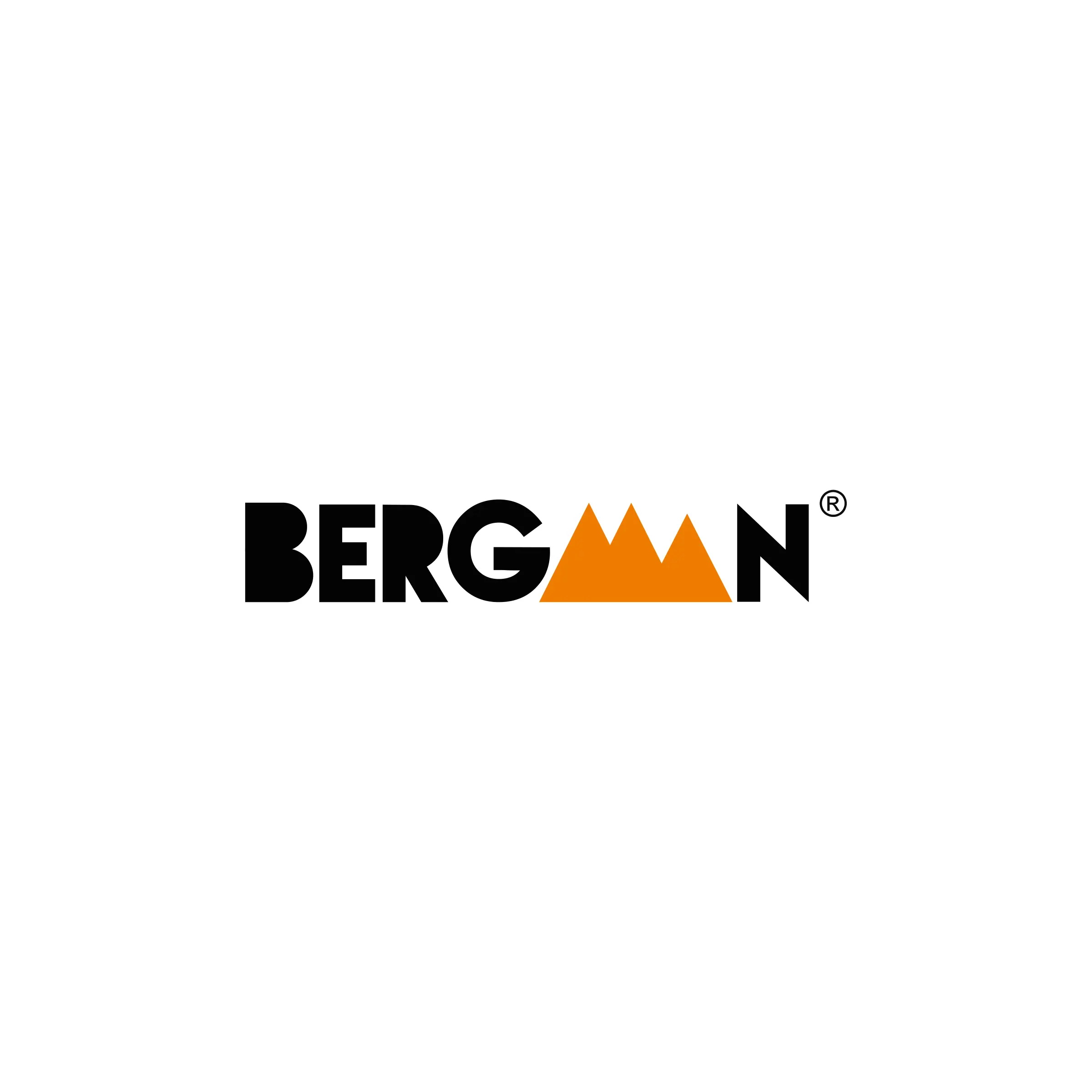 Home bergman logo